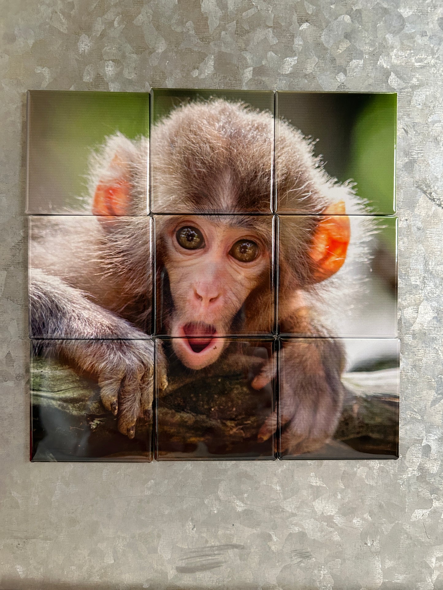 Magnet Puzzle Set